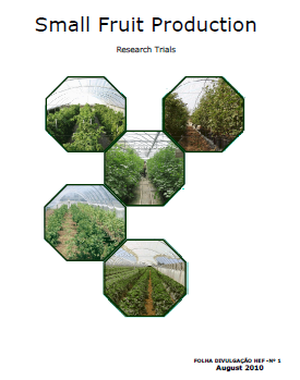 Small Fruit Production Research Trials